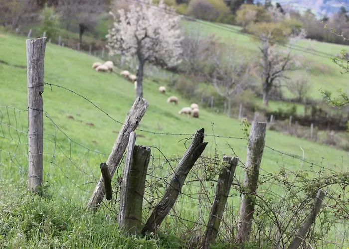 La Bastide De Fontaille